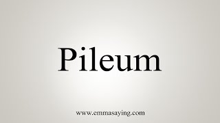 How To Say Pileum [upl. by Twelve]