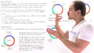 Plasmids and Recombinant DNA Technology [upl. by Nylqcaj370]