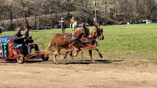 Chuckwagon Racing [upl. by Alamak]