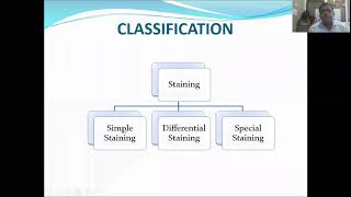 Staining methods Bacteria [upl. by Lynch]