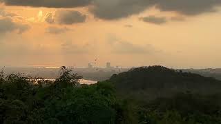 Free flying macaws in PATTAYA Thailand [upl. by Costello]