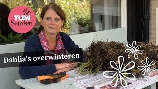 Dahlia’s overwinteren  Tuinseizoen [upl. by Niki276]