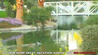 Palm Springs Vacations  WorldMark Indio [upl. by Eduam]