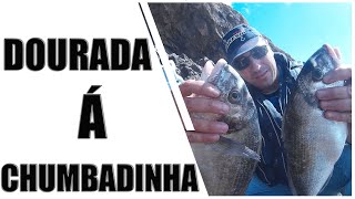 PESCA DE DOURADAS À CHUMBADINHA  SEGREDOS DE PESCA [upl. by Ruggiero]