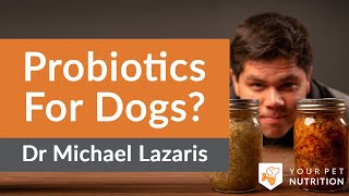 Dr Michael Lazaris Explains Probiotics For Dogs [upl. by Margie]