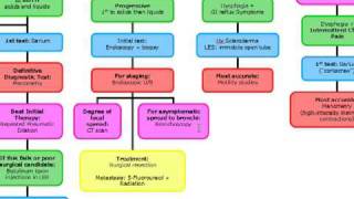 Dysphagia Part 1 of 2 [upl. by Hpsoj]