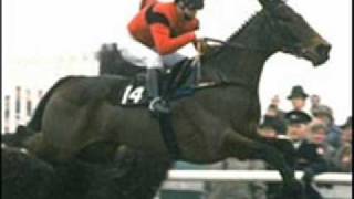 Dawn Run Wins Cheltenham 1986 Gold Cup RTE Radio Commentary [upl. by Pallaten953]