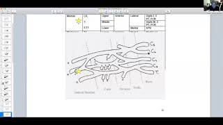 prof umapathi EDX [upl. by Meunier]