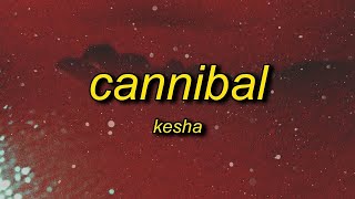 1 Hour  Kesha  Cannibal Lyrics whenever you tell me im pretty [upl. by Hagile]