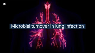 Temporal dynamics of lung infection microbiota in cystic fibrosis [upl. by Htebi]