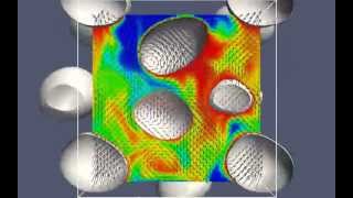 Mass transfer in bubbly flows using a Front Tracking model [upl. by Malloy]