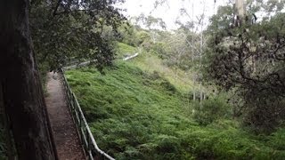 Blue Mountains Walks Fairmont Resort to Lillians Bridge Leura NSW Australia [upl. by Prowel]