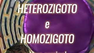 Qual a diferença entre homozigoto e heterozigoto [upl. by Edie]