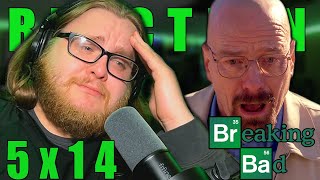 Breaking Bad 5x14 REACTION quotOzymandiasquot [upl. by Etnoed278]