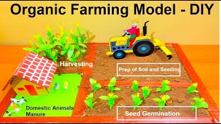 organic farming model making  science project  DIY  Agriculture model  howtofunda [upl. by Ttayw662]