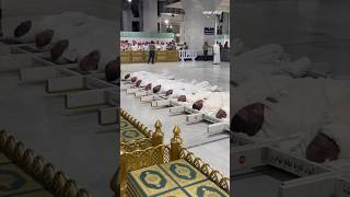 गरमी की वाजे से हाजी हुवे अल्लाह हो प्यारी youtubeshorts travel umrah islamicshorts hajjumrah [upl. by Mccormac]