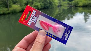 HOT PINK Rooster Tail Fishing [upl. by Rue]