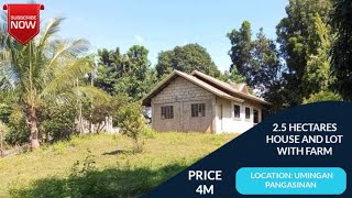 NA 25 HECTARES HOUSE AND LOT WITH FARM PRICE 4M LOCATION UMINGAN PANGASINAN [upl. by Akcirderf504]