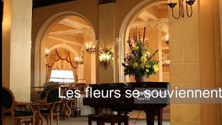 Les fleurs se souviennent Bertysolo amp Aaron Keny 🎧 [upl. by Tildy]