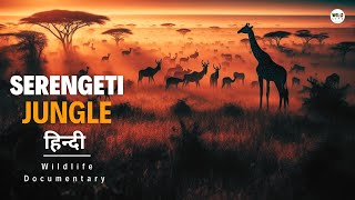 Serengeti Jungle Africa  हिन्दी डॉक्यूमेंट्री  Wild animals documentary in Hindi [upl. by Serica743]