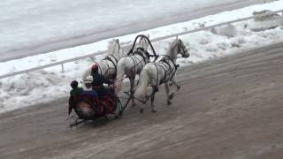 Русская тройка с бубенцами Московский ипподром 160214 [upl. by Sparky]