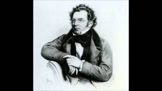 FSchubert The String Quartets D87 D804 Rosamunde Melos Quartett [upl. by Ellehsyt]