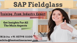 SAP Fieldglass Demo Session  SAP Fieldglass Tutorial for beginners  CIG  CI9  SOW  Configs [upl. by Fiske964]