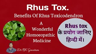 Rhus tox 30  Homeopathic medicine usesRhus Toxicodendron 200 uses in hindiUses of Rhus tox 1M [upl. by Ayifas360]