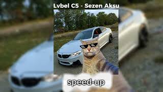 Lvbel C5  Sezen Aksu speedup [upl. by Ainwat]