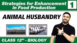 Strategies for Enhancement in Food Production 01 Animal Husbandry  Class 12 NCERT [upl. by Diane]