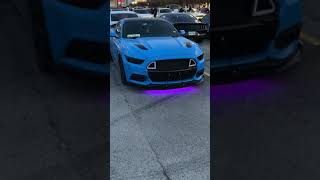 2017 Grabber Blue Mustang GT [upl. by Carney]