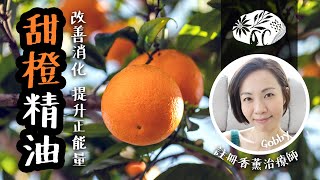 甜橙精油 🍊 Orange Sweet Essential Oil 倦怠時的提振好幫手 時刻保持正能量 GobbyHong 高比精油生活小教室 organicrafthk [upl. by Tteirrah]