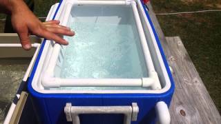 Homemade cooler livewell [upl. by Blankenship]