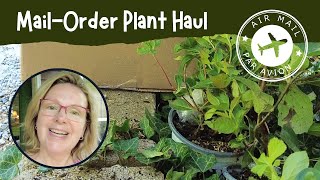 Unboxing a Plant Haul from GreatGardenPlantscom  Garden Vlog July 2024 Week 3 [upl. by Arama]