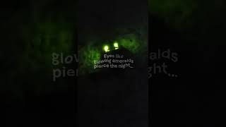 Discover Belizes Glowing Click Beetle Natures Bioluminescent Wonder [upl. by Norabal]