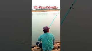 Fish Catching ll Fishing ll Dam Fishing 🎣🎣🎣 shortsfeed shortsviral fish [upl. by Mirilla]