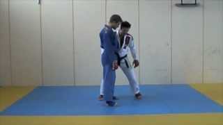 Lesson 3  Tani Otoshi  JiuJitsu Fighting Lesson JJIF Advanced Part 2 [upl. by Annaik]