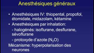 Lanesthésie introduction [upl. by Yekcaj]