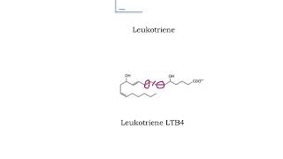 285 Overview of eicosanoids [upl. by Arytal]