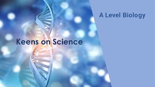 Interleukins role in clonal expansiion [upl. by Anatsirhc800]