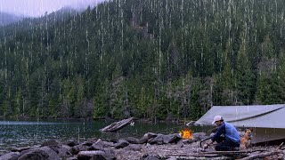 Solo Camping in Rain with my Dog by Calm Lake  Grilled Lamb Rack on Campfire Relaxing [upl. by Telocin541]