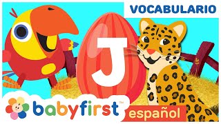 Huevos Surpresas con Animales Salvajes  Sonidos de Animales con Larry el Loro  BabyFirst Español [upl. by Nosyerg]