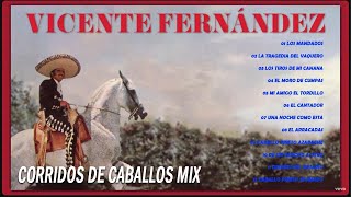 VICENTE FERNANDEZ PUROS CORRIDOS DE CABALLOS MIX 🔥 VICENTE FERNANDEZ LAS MEJORES RANCHERAS [upl. by Enaej407]