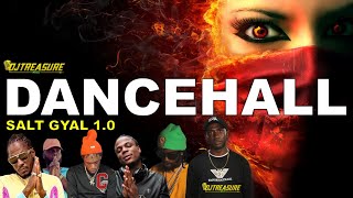 Dancehall Mix 2024 Clean Dancehall Songs 2024 │ SALT GYAL Masicka Chronic Law Alkaline Valiant [upl. by Newnorb265]