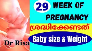 Pregnancy Week by Week Malayalam  29 Week of Pregnant [upl. by Polash984]