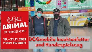 Animal 2021 Messe Stuttgart die große Haustiermesse [upl. by Corie911]