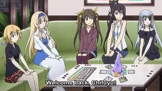 Infinite Stratos  They sound like a married couple [upl. by Collbaith]