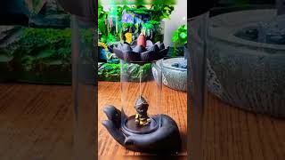 Backflow incense cone  Shorts withme2020 [upl. by Nas566]