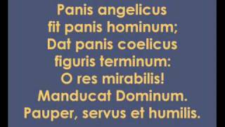 César Franck Panis Angelicus [upl. by Iatnahs264]