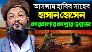 হাসান হোসেনএর করুন কাহিনী ┇ আসলাম হাবিব সাহেব ┇ Aslam Habib New Jalsa 2022 ┇ Aslam Habib Notun Waz [upl. by Licna]